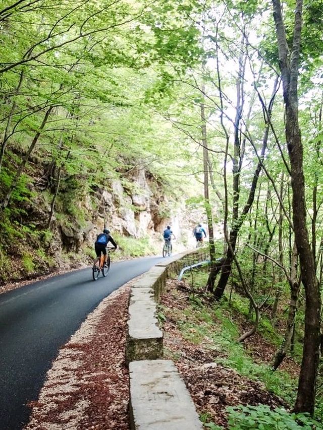 Dajti Mountain National Park, Tirana — Nature Escape Above the Capital