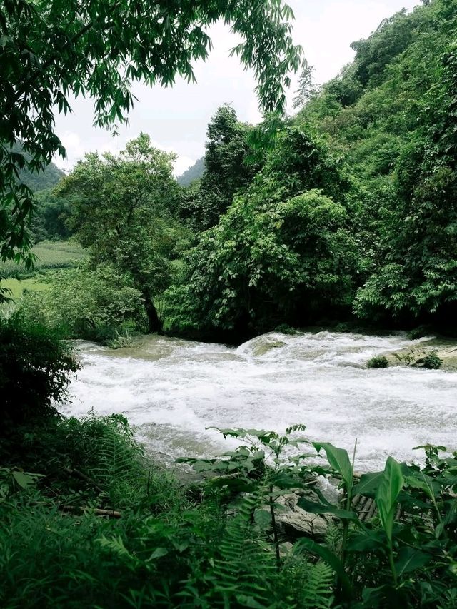 💧 Tong Waterfall – The Secret Heart of the Forest