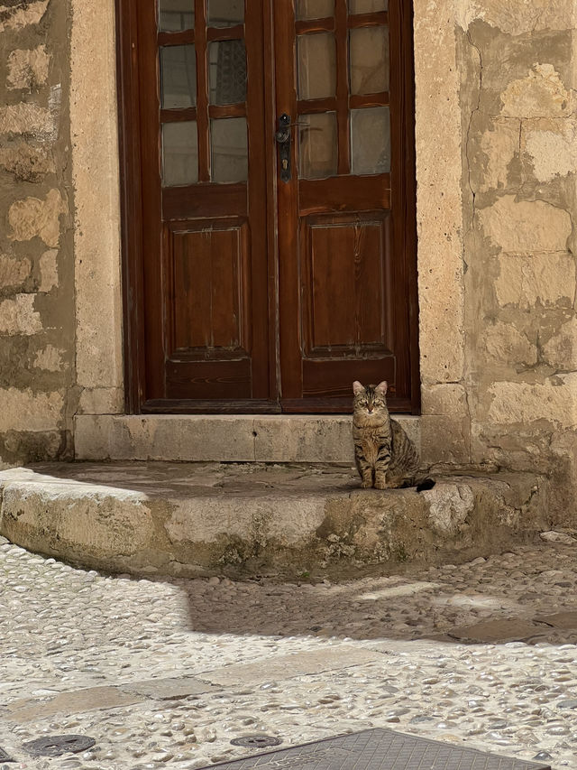 🇭🇷 克羅埃西亞杜布羅夫尼克 （Dubrovnik） ⛵️