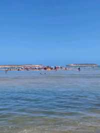 Fresh oysters and ocean breeze in Oualidia for only 100$