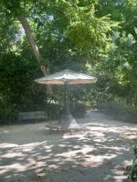 A Budget Stopover in Athens