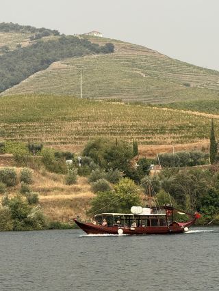 🍇Stunning Port Wine Tasting Trip to Douro Valley🍷