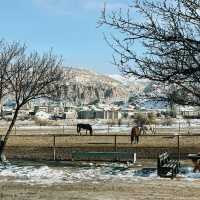 Cappadocia on a Budget: Balloons, Valleys & Hidden Gems