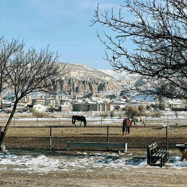 Cappadocia on a Budget: Balloons, Valleys & Hidden Gems