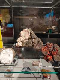 Stone as Storyteller — A Review of the Earth Sciences Gallery at the National Museum of Scotland