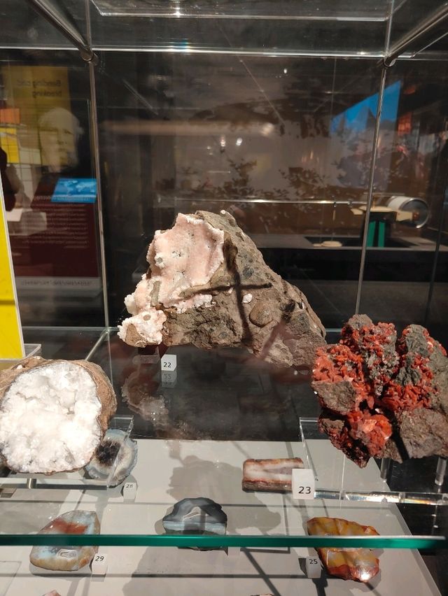 Stone as Storyteller — A Review of the Earth Sciences Gallery at the National Museum of Scotland