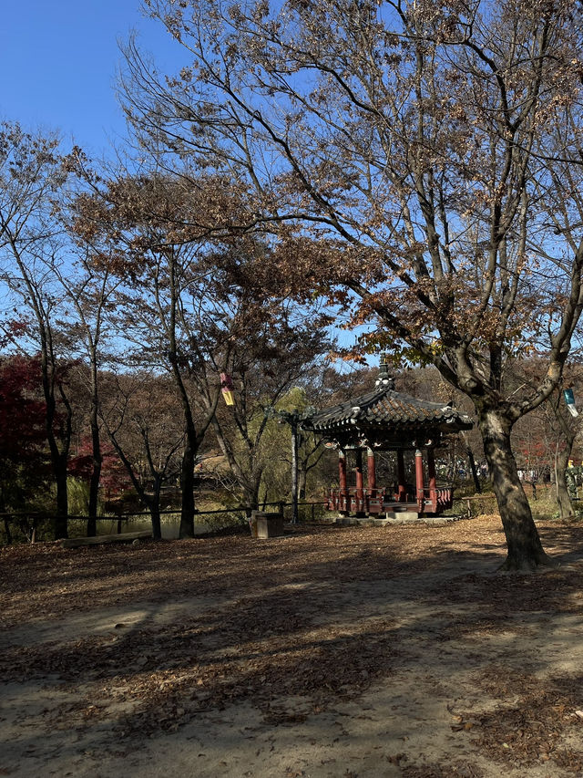 Autumn Suwon Vibes🍂