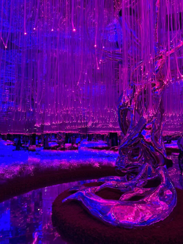 Magnificent AYA Universe in Dubai