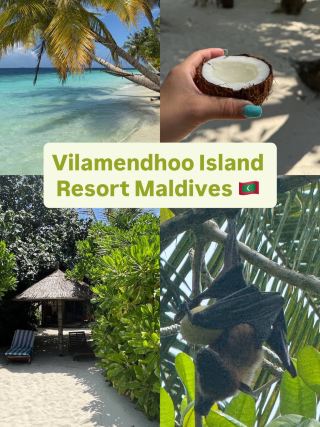 빌라멘두 아일랜드 리조트 - 말보다 더 큰 소리를 내는 산호초