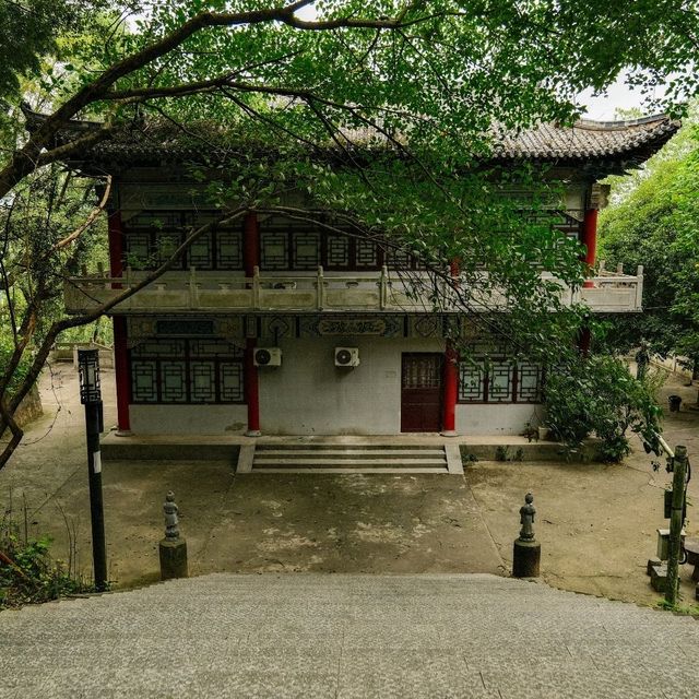 Slow Steps Through Yushan County 🌿🚶‍♀️