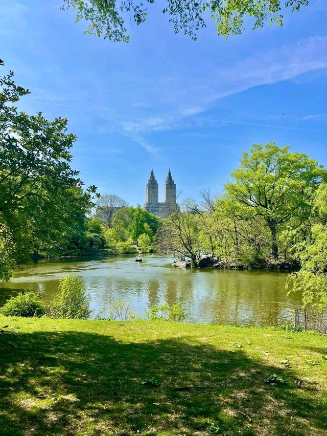 Central Park, it’s basically Hollywood’s favorite green screen!