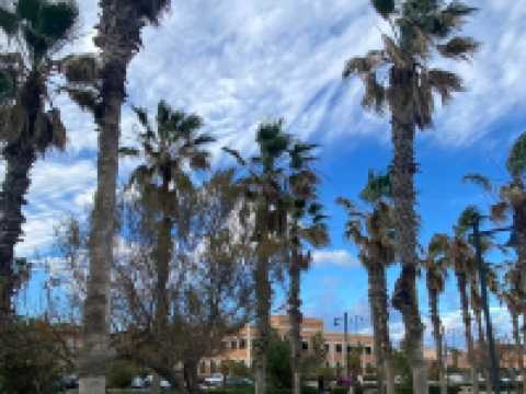 Malvarrosa – The Most Beautiful and Famous Beach in Valencia