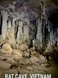 Discover Vietnam's Mysterious Rat Cave