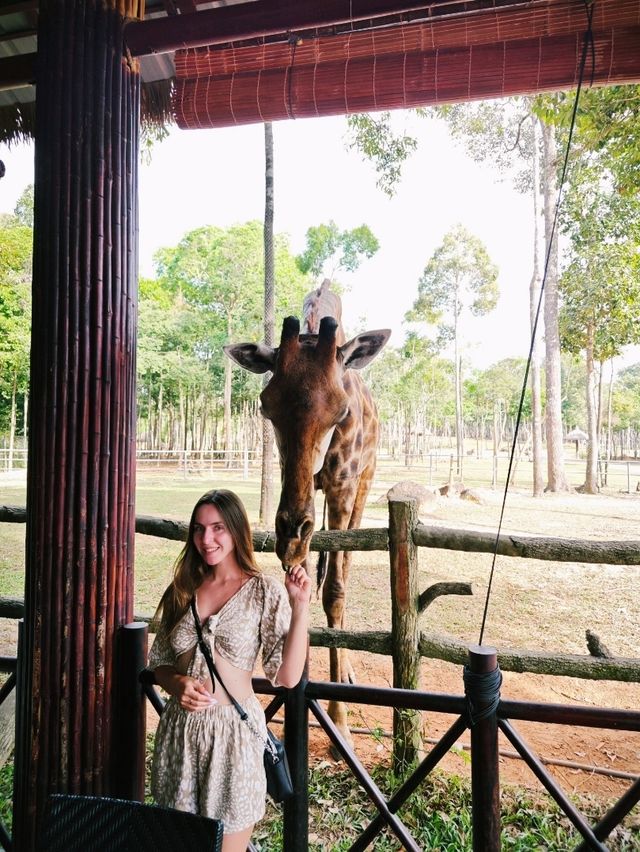 Budget safari is on Phu Quoc Island! 🌿🦁 Budget safari is on Phu Quoc Island! 🌿🦁