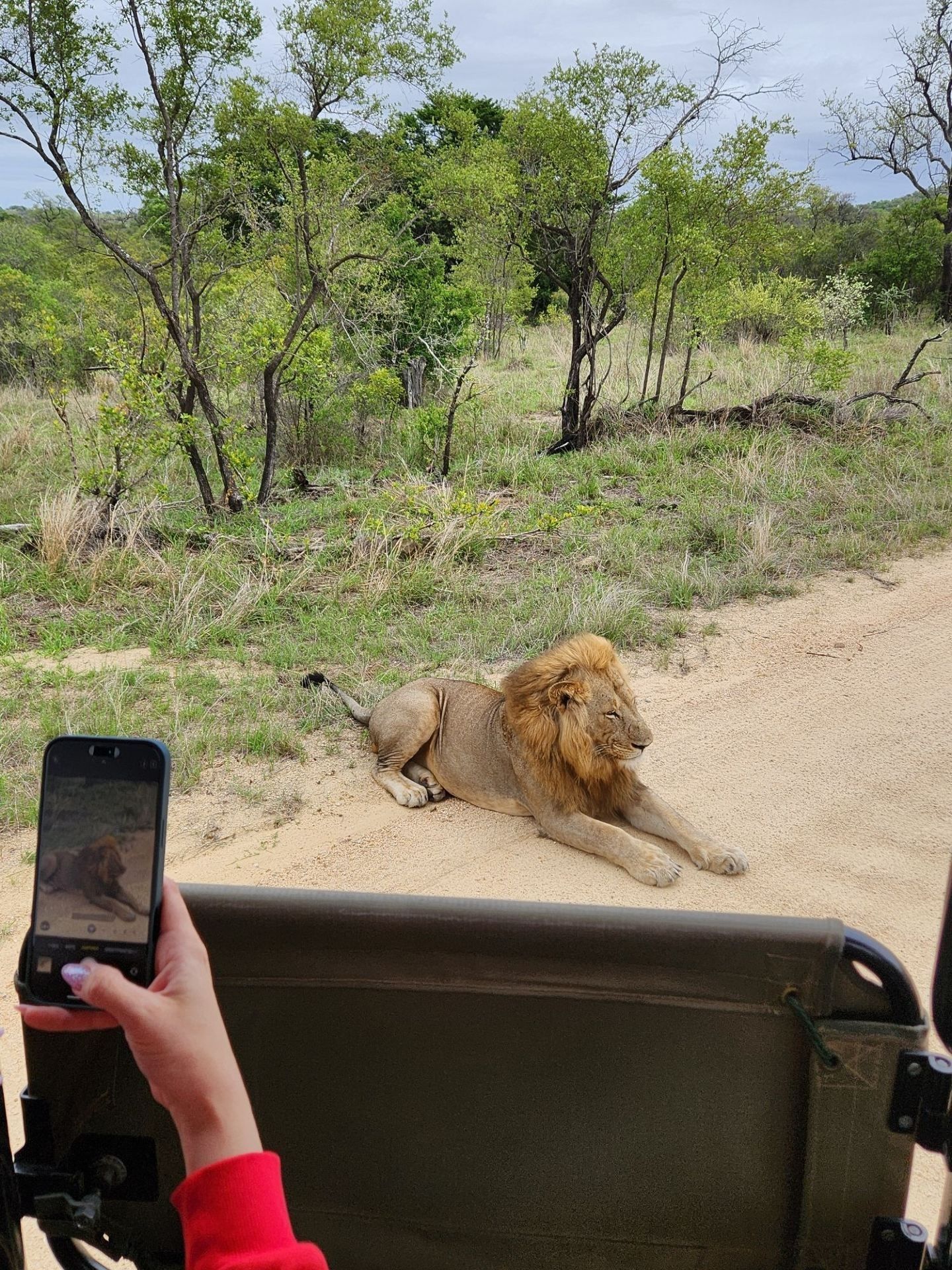 South African Safaris with Prices: A Trip to Kruger Park, Africa's Largest National Park
