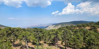 🛵 A spontaneous scooter road trip through Troodos  viewpoint, Pedoulas & Kakopetria
