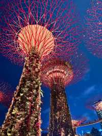 Unforgettable Day and Night at Gardens by the Bay, Singapore