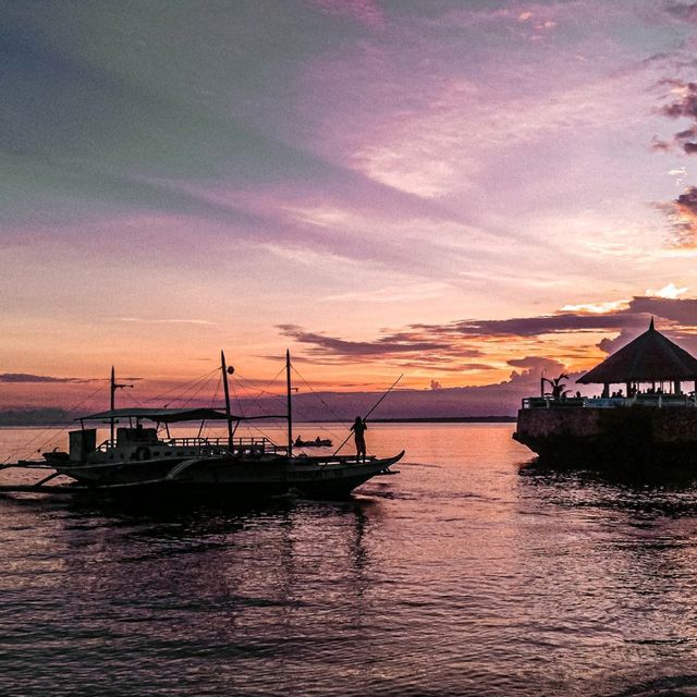 The Island Vibe!