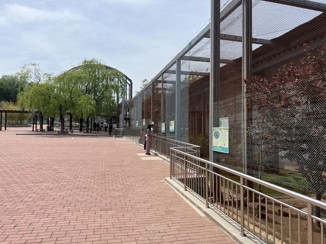 타조와 아이컨택이 인상적이었던 곳, 연화동물원(煙合動物園)