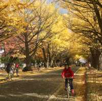 Hokkaido University | Japan's most beautiful university