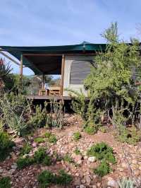 Buffelsdrift Hotel in South Africa 