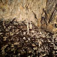 Prehistoric Shelter - Catherine's Cave 