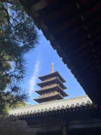 輝煌與厚重的上海寶山寺