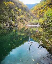 海東市互助縣—扎龍溝之秋