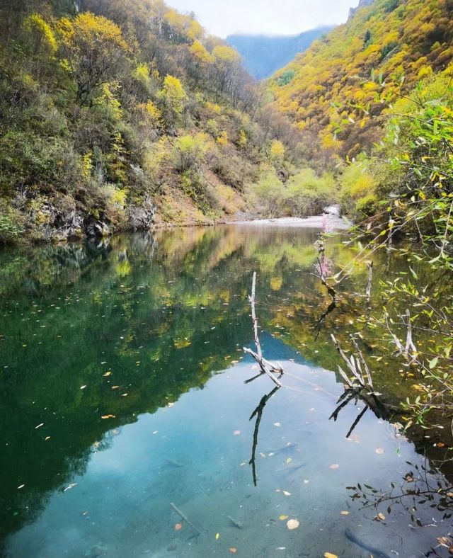 海東市互助縣—扎龍溝之秋
