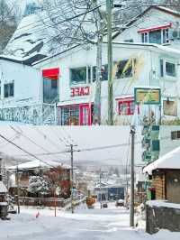 北海道5天4夜攻略｜札幌小樽的雪天太美了