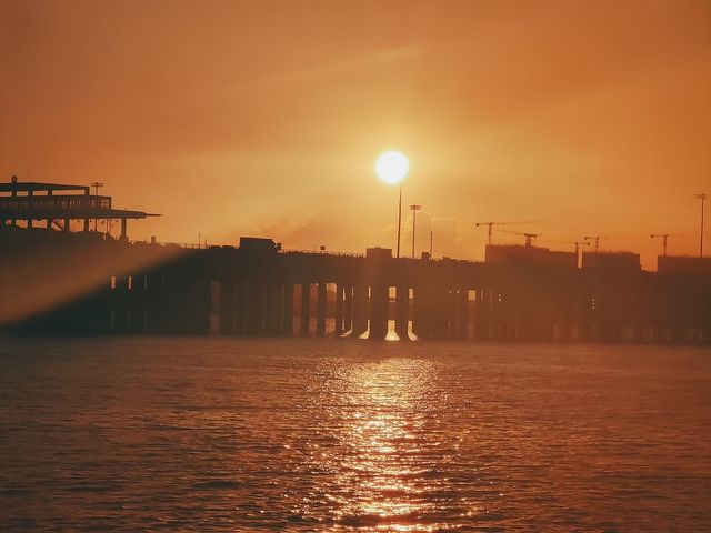 深圳灣紅樹林，大海的懷抱