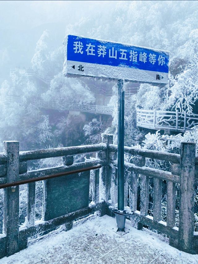 被朋友罵瘋了！為了霧凇雪景去了趟郴州！