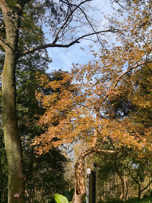 石門國家森林公園