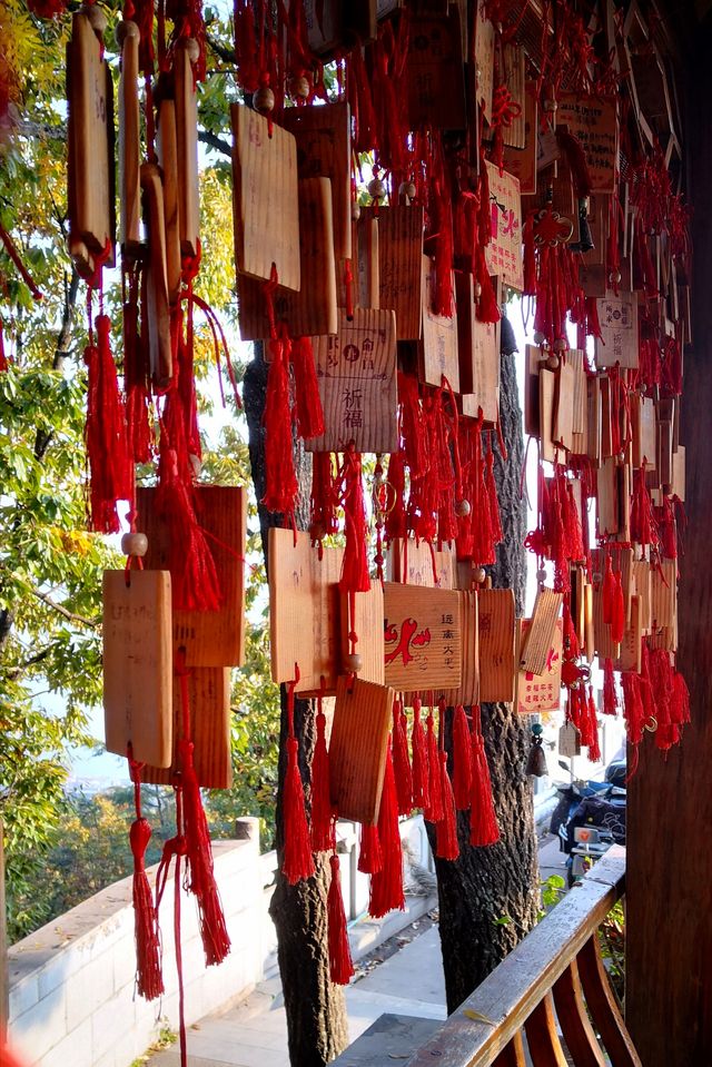 遊瀘山，寺廟、博物館、登山和靈猴