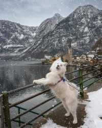 Hallstatt Chronicles: A Picture-Perfect Weekend Getaway 🏞️🇦🇹
