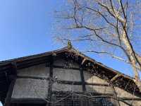 桐鄉濮院