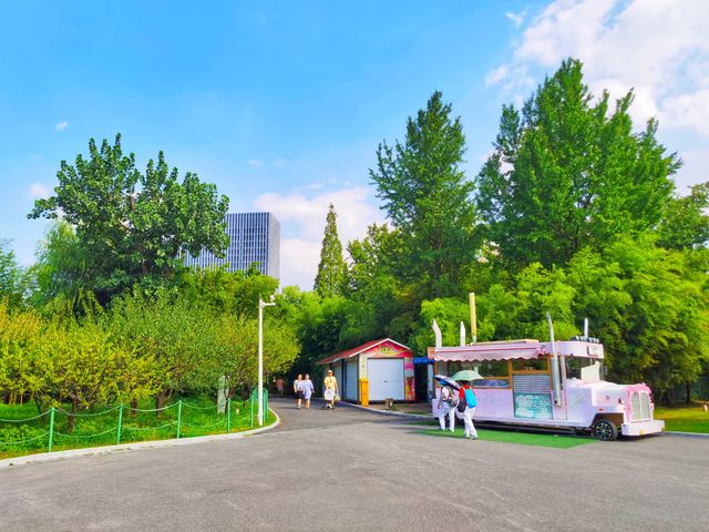 風景如畫喧囂中取靜的公園