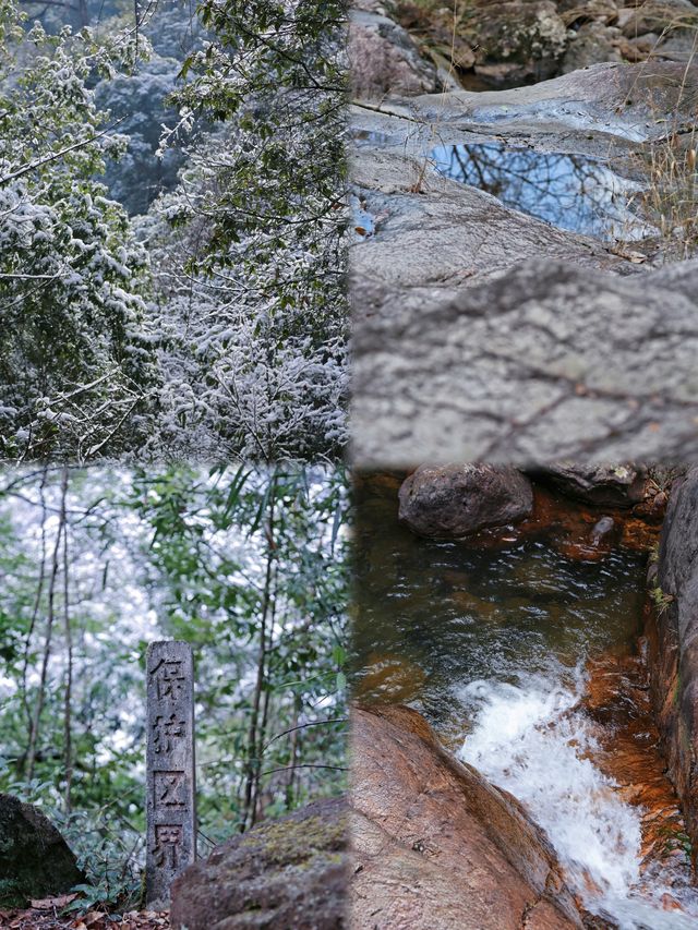 @福建人，難遇南方的今天打雪仗了嗎