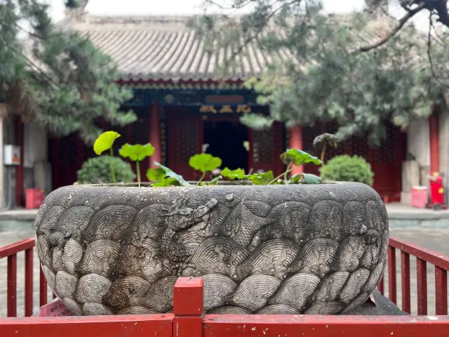 Fayuan Temple in Beijing | A peaceful place amidst the hustle and bustle, a break for the mind