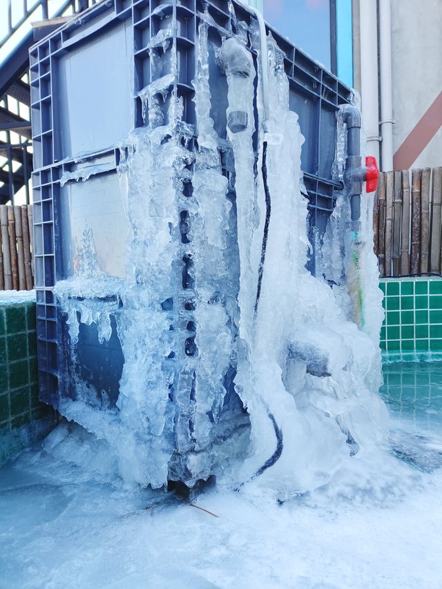 十五年一遇的雪與海與懷舊的民宿的兩天