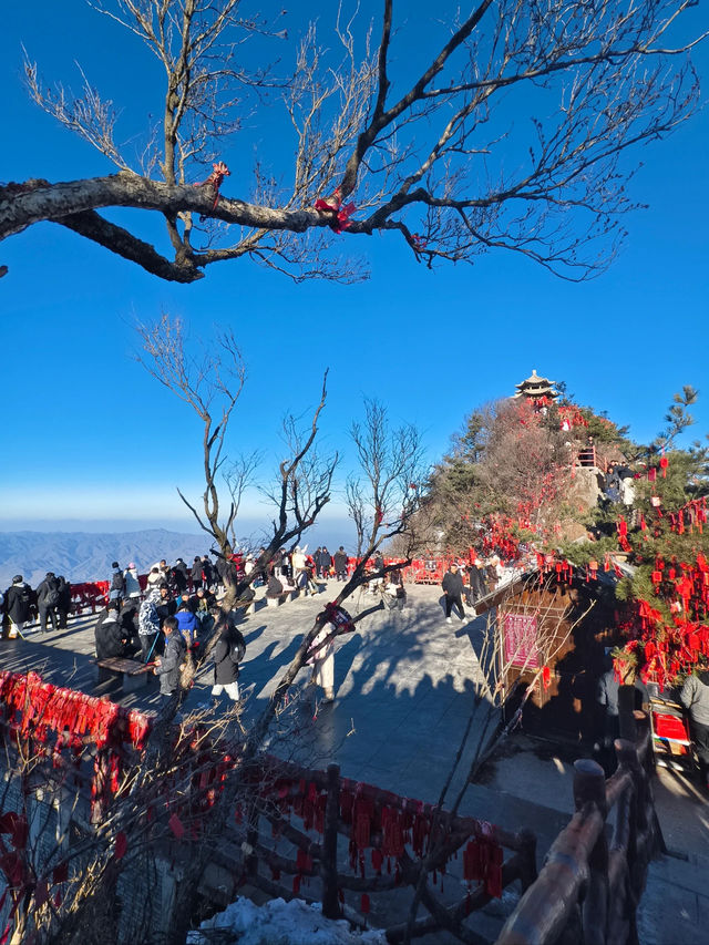 老君山真的太太太太美了