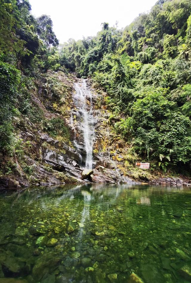 岭南四大名山之首的鼎湖山