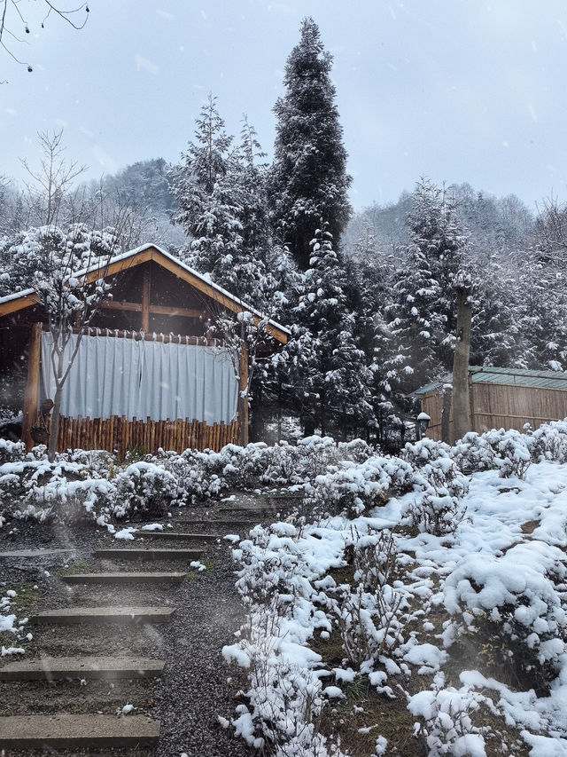 才退房下次還來！邊泡湯邊賞雪好不浪漫