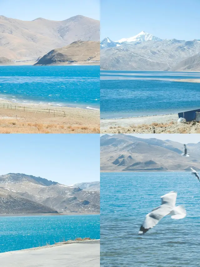 Romantic journey to Yamdrok Lake