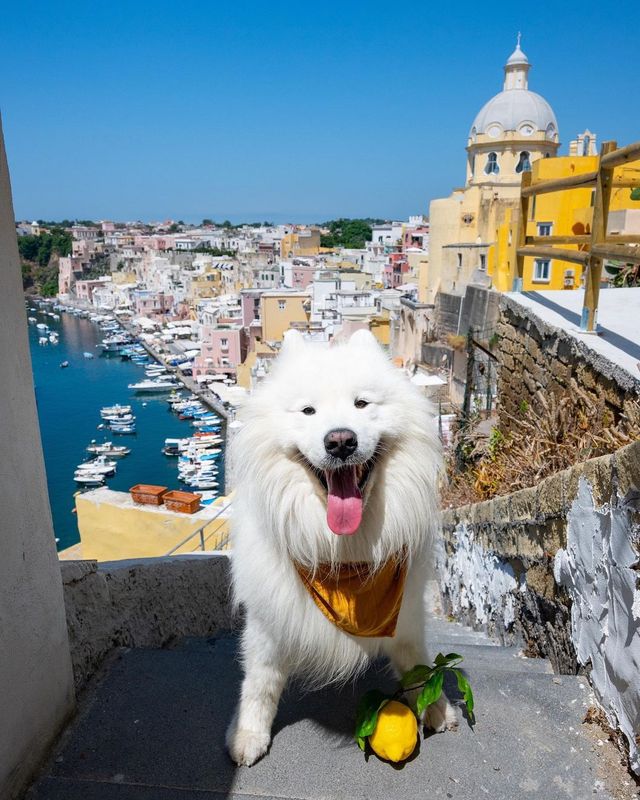 🇮🇹❤️ Best of Procida, Italy: A kaleidoscope of colors awaits! 😍