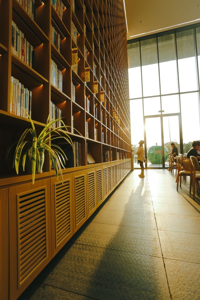 小眾遛娃地|觀展看書兩不誤 小眾遛娃地|觀展看書兩不誤