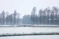 看看下雪天的東湖 /碧潭觀雪