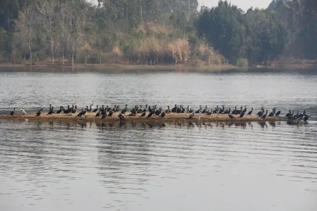 Fun Fact: Did you know that Lake Sancha is actually a man-made lake?
