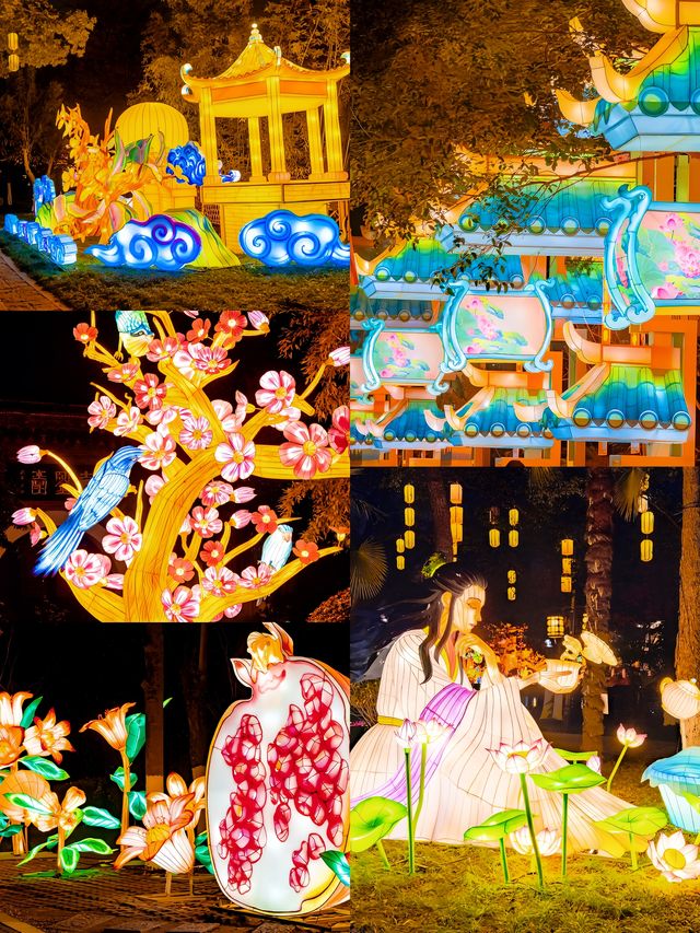 南京白鹭洲公園夜遊夢幻光影之旅