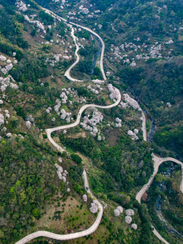 寧波文旅局你不宣傳這個地方你糊塗啊